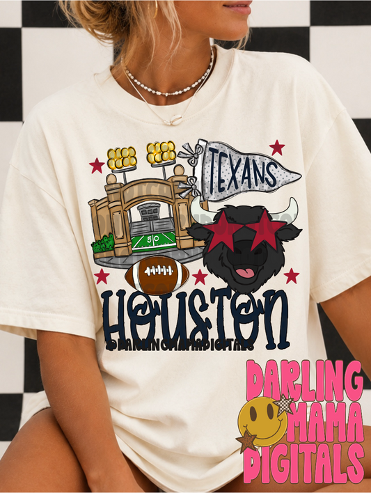 H*uston Texans