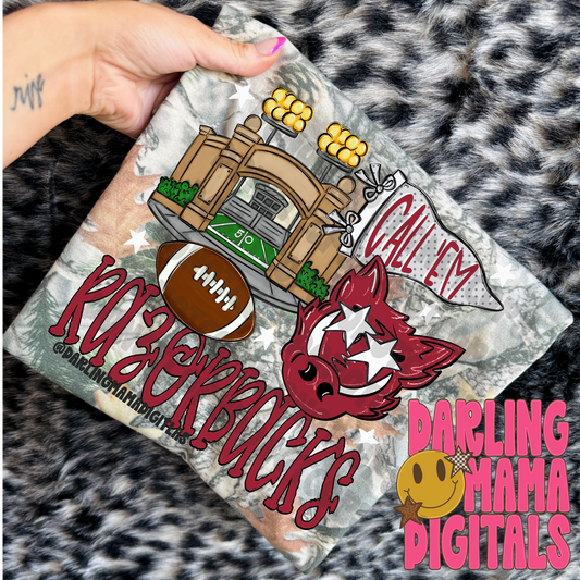 AR Razorbacks