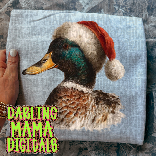 Christmas Duck