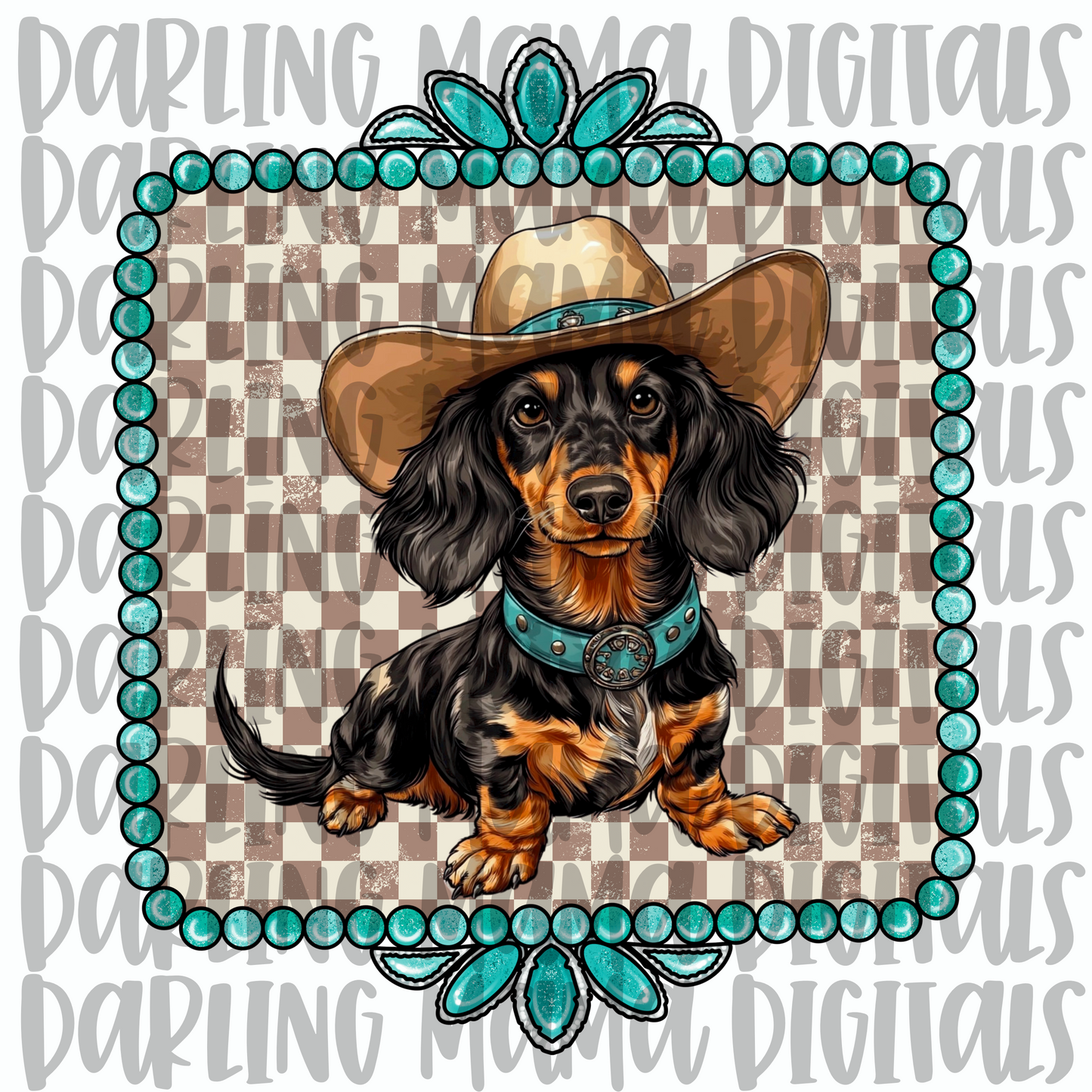 Western Dachshund