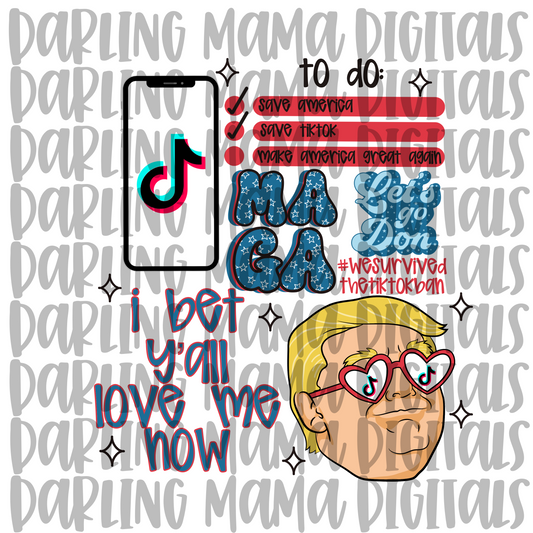 LC Trump TikTok Ban Collage