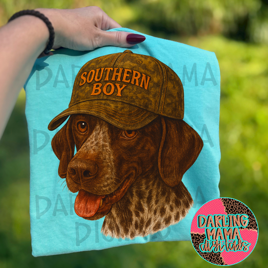 Short haired pointer