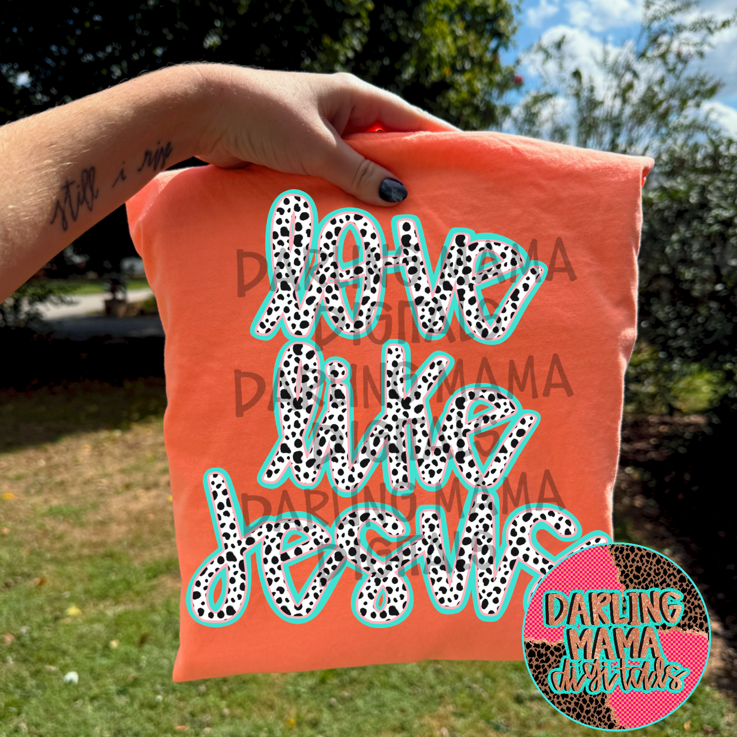 Dalmatian love like Jesus