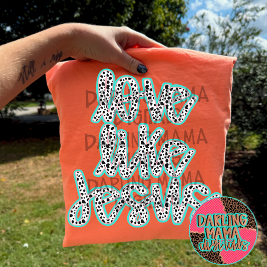 Dalmatian love like Jesus