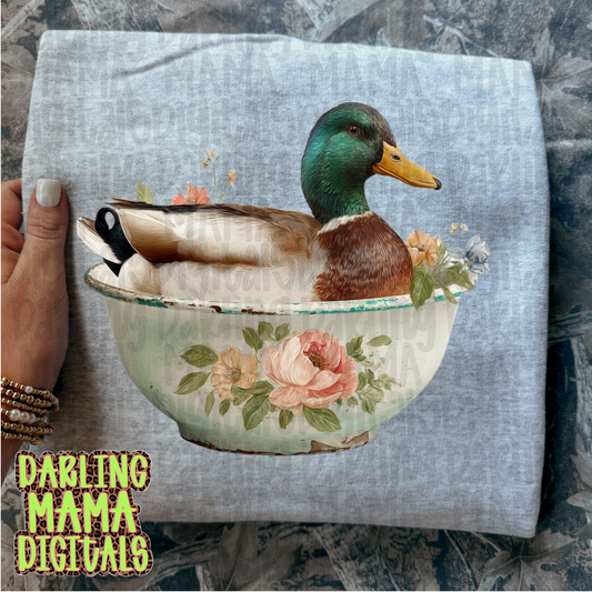 Duck in vintage bowl