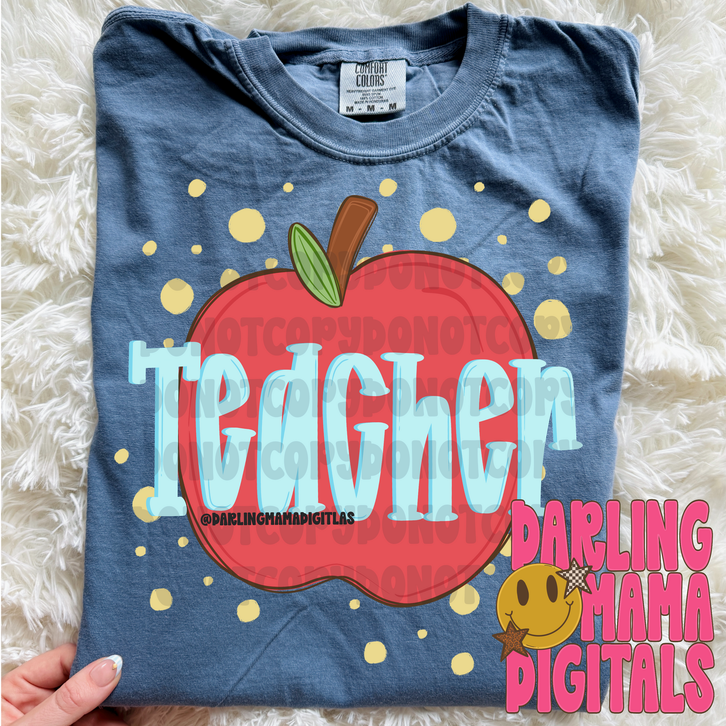 Teacher