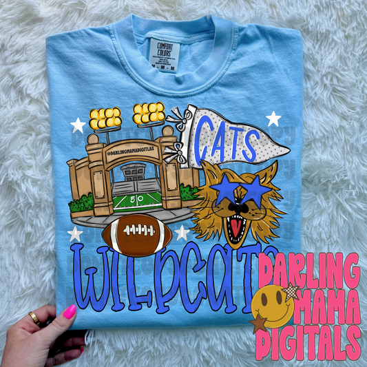 KY Wildcats