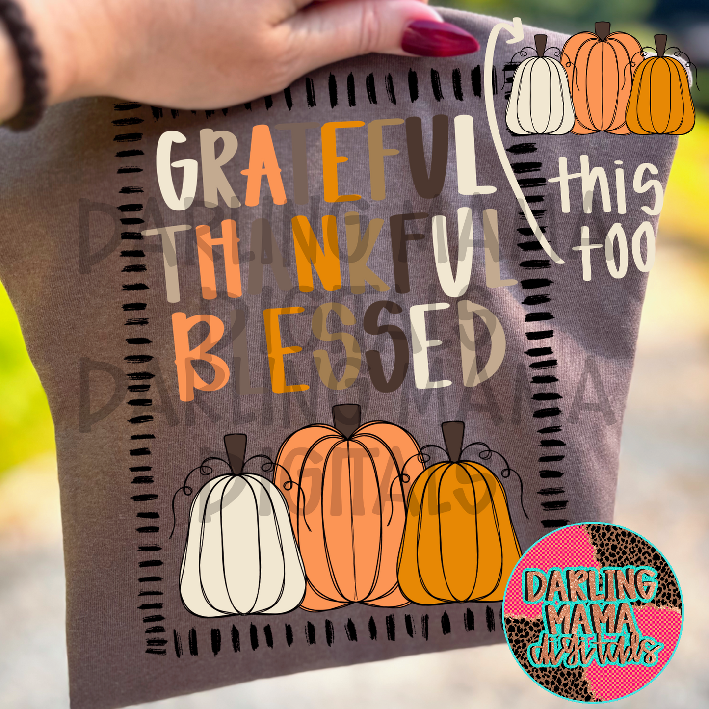 Grateful thankful blessed pumpkins