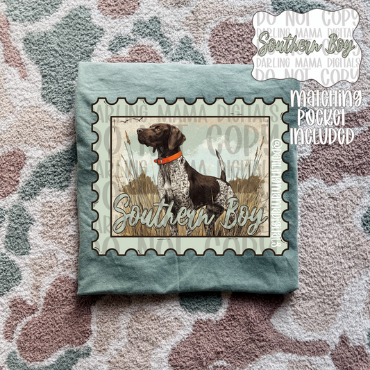 Southern Pointer boy version