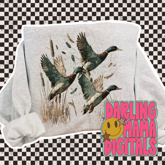 Mallards 2