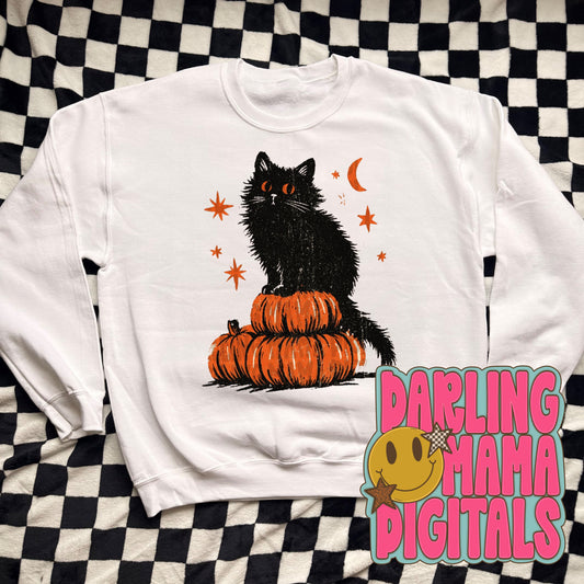 Black cat & pumpkins