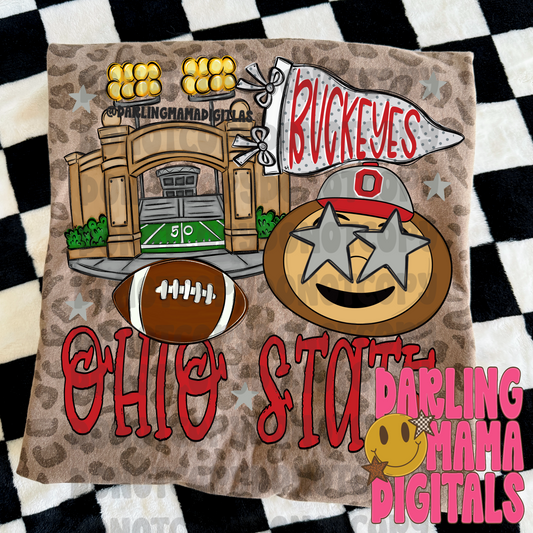 Ohio State Buckeyes