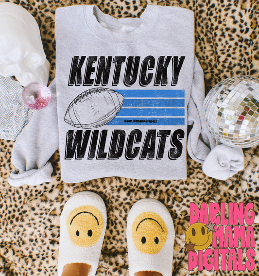 Striped football KY wildcats 2