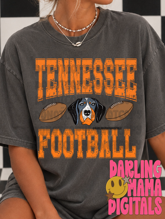 Tn football