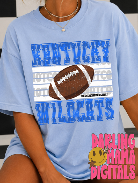 Striped football KY wildcats
